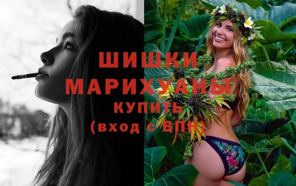 стафф Богородицк
