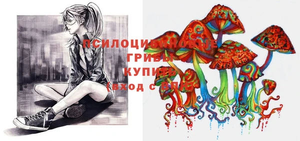 гашик Бородино