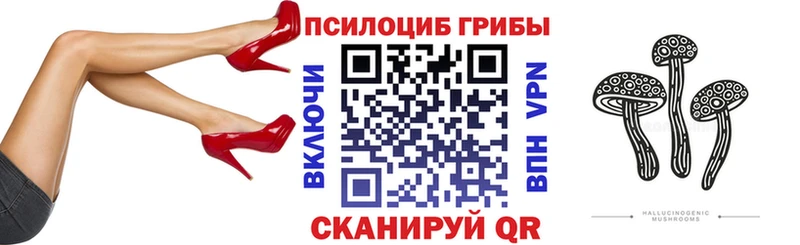Псилоцибиновые грибы ЛСД Колпашево