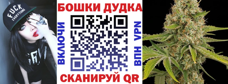 Канабис планчик  продажа наркотиков  Колпашево 